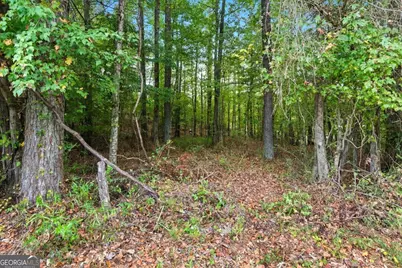 0 Liberty Road, Villa Rica, GA 30180 - Photo 6