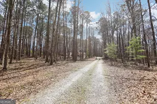 179 Green Valley Rd, Fayetteville, GA 30214 - Photo 38