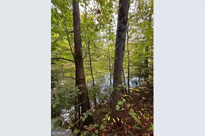 68 Nelson Lane, Hiawassee, GA 30546 - Photo 8