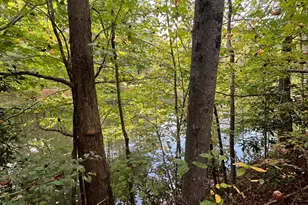 68 Nelson Ln, Hiawassee, GA 30546 - Photo 8