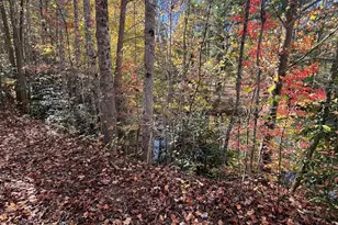 68 Nelson Ln, Hiawassee, GA 30546 - Photo 50