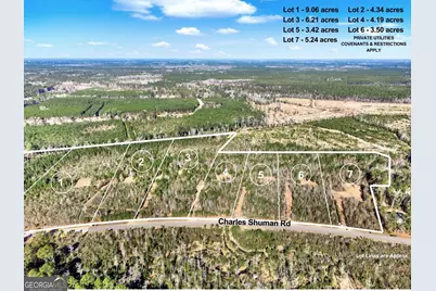 Lot 1 Charles Shuman Road, Pembroke, GA 31321 - Photo 1