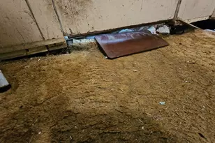 5209 Salem Rd, Lithonia, GA 30038 - Photo 12