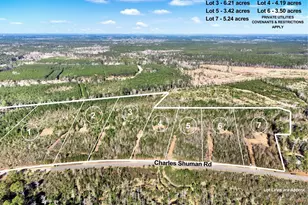 Lot 3 Charles Shuman Rd, Pembroke, GA 31321 - Photo 1