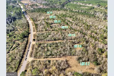 Lot 4 Charles Shuman Road, Pembroke, GA 31321 - Photo 2