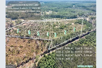 Lot 6 Charles Shuman Road, Pembroke, GA 31321 - Photo 2