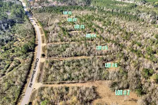 Lot 6 Charles Shuman Rd, Pembroke, GA 31321 - Photo 1
