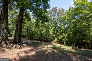 922 Liberty Cir, Murpy, NC 28906 - Photo 38