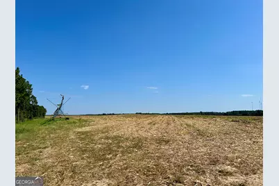 762 Nicholson Carr Road, Chester, GA 31012 - Photo 64