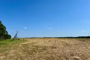 762 Nicholson-Carr Rd, Chester, GA 31012 - Photo 64