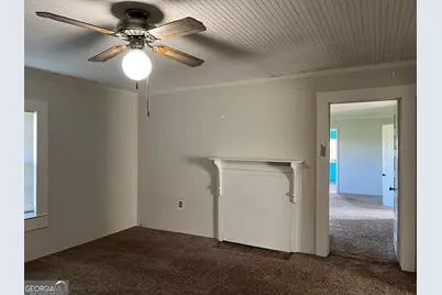 762 Nicholson Carr Road, Chester, GA 31012 - Photo 44