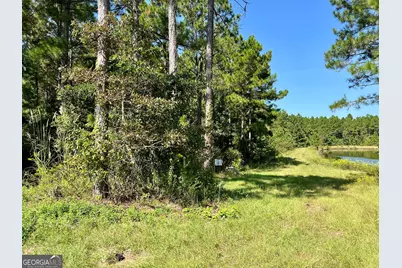 762 Nicholson Carr Road, Chester, GA 31012 - Photo 78