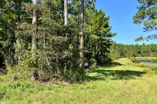 762 Nicholson-Carr Rd, Chester, GA 31012 - Photo 78