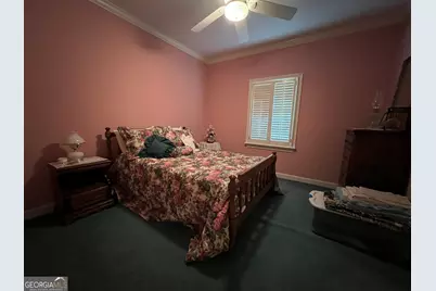 762 Nicholson Carr Road, Chester, GA 31012 - Photo 20