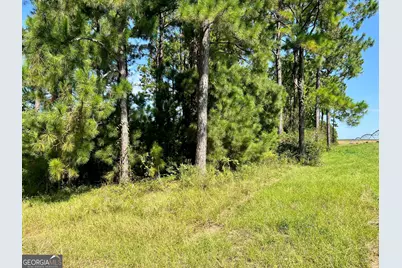 762 Nicholson Carr Road, Chester, GA 31012 - Photo 70