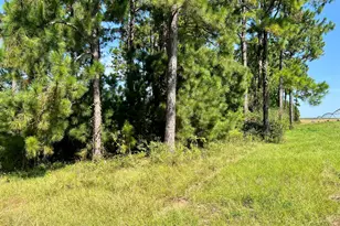 762 Nicholson-Carr Rd, Chester, GA 31012 - Photo 70