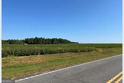 762 Nicholson Carr Road, Chester, GA 31012 - Photo 60