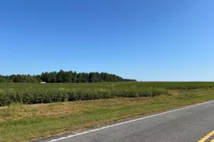 762 Nicholson-Carr Rd, Chester, GA 31012 - Photo 60