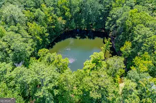 391 Foggy Bottom Dr, Carrollton, GA 30116 - Photo 90