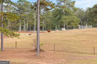 1915 Whooping Creek Church Road, Carrollton, GA 30116 - Photo 28