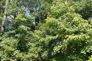 645 Stadler Pointe, McDonough, GA 30253 - Photo 14