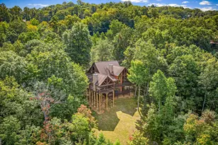 1150 Mountain High Dr, Mineral Bluff, GA 30559 - Photo 10