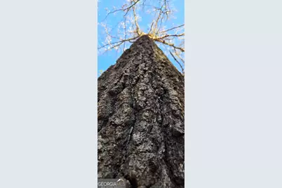 0 5 Points Road, Gray, GA 31032 - Photo 24