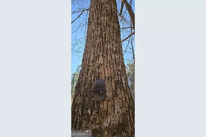 0 5 Points Road, Gray, GA 31032 - Photo 12