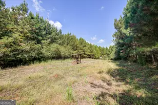 3591 GA-54, Hogansville, GA 30230 - Photo 114