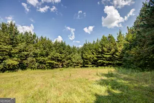 3591 GA-54, Hogansville, GA 30230 - Photo 124