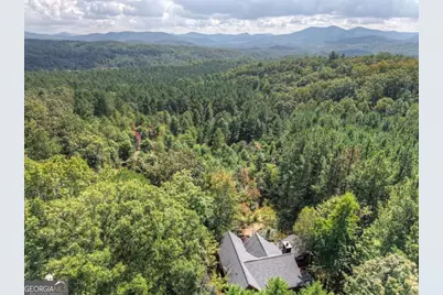 603 Red Berry Ridge Road, Blue Ridge, GA 30513 - Photo 44