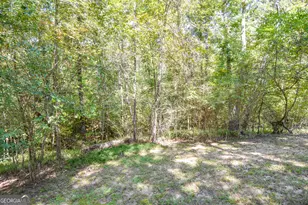 1111 Seaboard Ct, Greensboro, GA 30642 - Photo 72