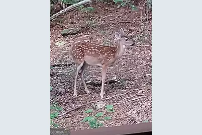 637 Wayside Road NE, Rome, GA 30161 - Photo 38