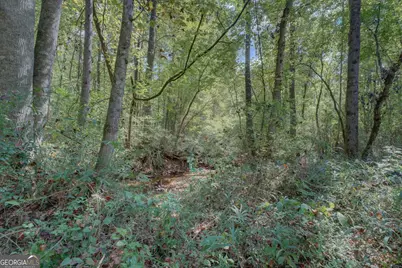 1200 McNair Lane, Madison, GA 30650 - Photo 48