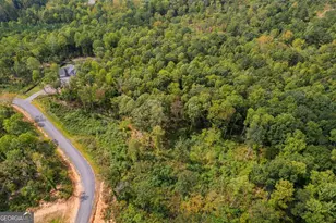 Lt 275 Highgrove Dr, Talking Rock, GA 30175 - Photo 10