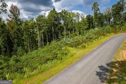 Lt 275 Highgrove Drive, Talking Rock, GA 30175 - Photo 8