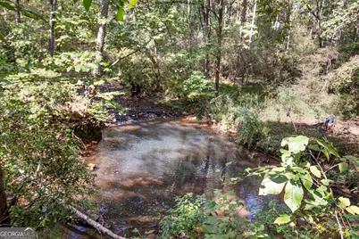 262 Jackson Shoals Road, Franklin, GA 30217 - Photo 40