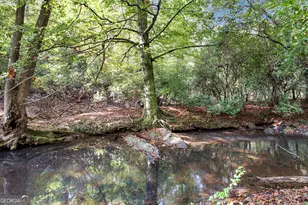 262 Jackson Shoals Rd, Franklin, GA 30217 - Photo 38