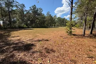 2470 Kitchen Rd, Dexter, GA 31019 - Photo 24