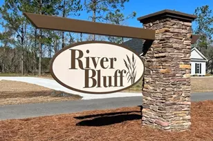 166 River Blf Wy, Ellabell, GA 31308 - Photo 2