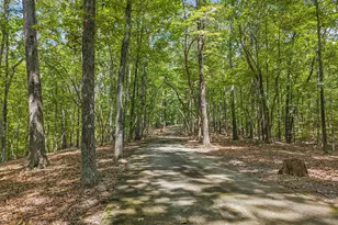 4416 Wedgewood Ln, Cohutta, GA 30710 - Photo 82