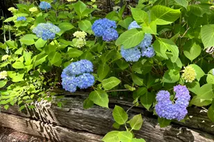 146 Canyon Pass, Cleveland, GA 30528 - Photo 20