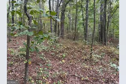 3842 Salacoa #-TRACT A, Waleska, GA 30183 - Photo 6