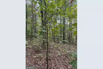 3842 Salacoa #-TRACT A, Waleska, GA 30183 - Photo 4