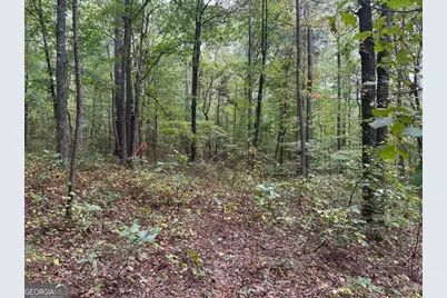 3834 Salacoa #-TRACT B, Waleska, GA 30183 - Photo 10