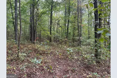 3826 Salacoa #-TRACT C, Waleska, GA 30183 - Photo 4