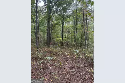 3826 Salacoa #-TRACT C, Waleska, GA 30183 - Photo 2