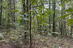 3826 Salacoa, Waleska, GA 30183 - Photo 1