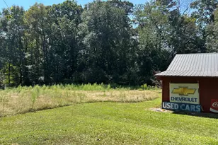 817 Yonah Homer Rd, Maysville, GA 30558 - Photo 32