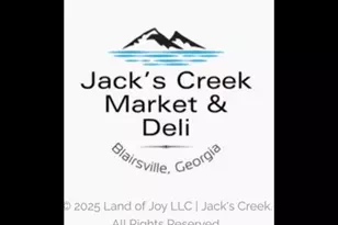 2532 Hwy 325, Blairsville, GA 30512 - Photo 12